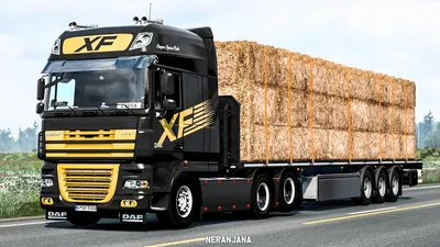 DAF XF 105 SC 6x4* | WSI Models