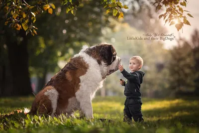 Трогательные фотографии детей с собаками