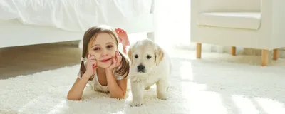 Дети и собаки: как обеспечить безопасное общение? | Животные в Фокусе | Дзен