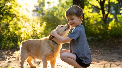 Все что нужно знать о дружбе собак и детей