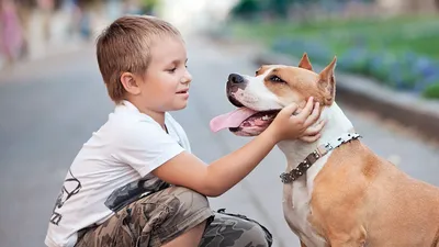 Маленькие дети и их большие собаки» | Журнал PhotoCASA | Дзен