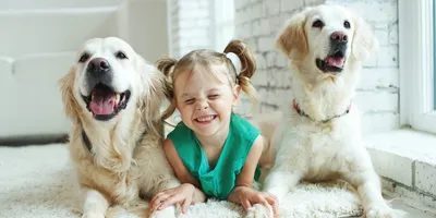 Дети и собаки в доме: как им подружиться | Мамоведия - о здоровье и  развитии ребенка