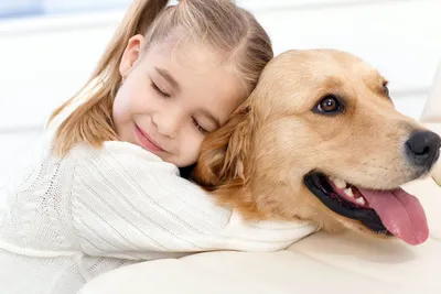 Лучший друг и активные игры: 5 мифов об отношениях детей с собаками