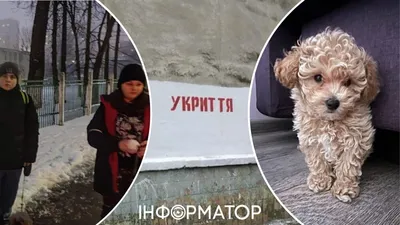 Маленькие дети и большие собаки (15 фото) | Прикол.ру - приколы, картинки,  фотки и розыгрыши!