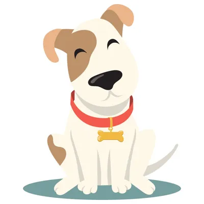 Ревность у собак: причины, признаки и как с этим бороться | Royal Canin UA