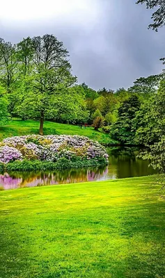 Реалистичное фото,красивая природа,…» — создано в Шедевруме
