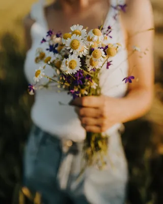 Лето, дикая природа, красивые луговые…» — создано в Шедевруме