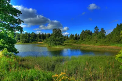 Гуляя по парку / отдых на природе :: лето :: Природа (красивые фото природы:  моря, озера, леса) :: волга / смешные картинки и другие приколы: комиксы,  гиф анимация, видео, лучший интеллектуальный юмор.