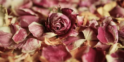 3 шт., милое мыло в форме сердца, мыло с цветком для тела, мыло с лепестками  роз, свадебное украшение для женщин и девушек, свидание, романтический  подарок | AliExpress