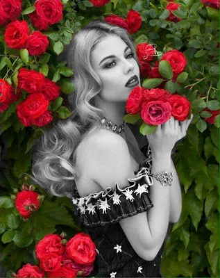 Женская роза - 72 фото