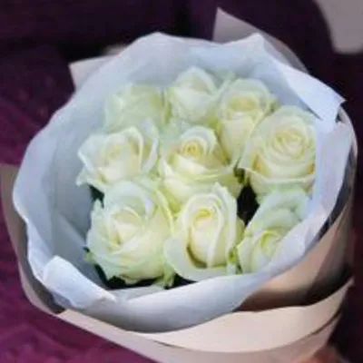 101 роза , букеты из 101 розы на заказ купить недорого | доставка по Москве  и области | цена от 3690 руб.