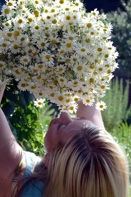 Букет ромашек купить СПб ⋆ Yana Flowers интернет-магазин