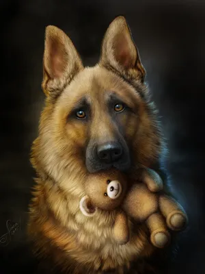 Картинки на аву собаки (66 фото) - картинки sobakovod.club