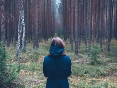 В лесу под Воронежем нашли потерявшихся девушек-грибников