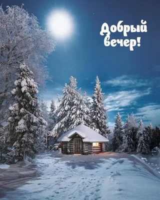 Пушистая девушка зайка, зима, вечер…» — создано в Шедевруме
