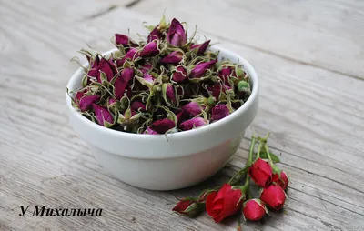 И взглянуть страшно: звезда «Дикой розы» вконец обезобразила себя пластикой