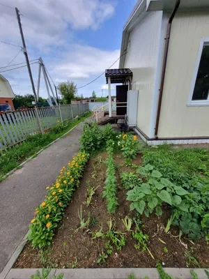 В Моргаушском районе построили 4 новых ФАПа: «Теперь и у нас есть свой  новый ФАП» | Моргаушский муниципальный округ Чувашской Республики