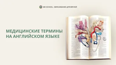 6 Онлайн Шаблонов Резюме на Английском Языке [Скачать Образцы]