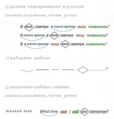 Животные на английском - Novakid Blog