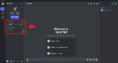 Discord Game Server Monitor - Live server status on Discord v1.7.1 -  AlliedModders