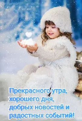 Доброе снежное утро! #сдобрымутром #доброеутро #рекомендации | TikTok