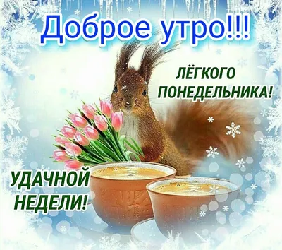 Доброе утро! Позитивного настроения!Легкого понедельника и удачной недели!