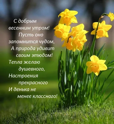 Доброе утро картинки красивые весенние