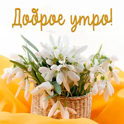 Доброе утро#Суббота#Весна#Хорошего дня#Отличного настроения# Моим друз... |  TikTok