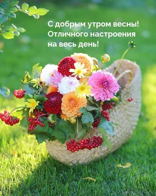 №70 \"Доброе утро\" картинки весна (1149 шт.)