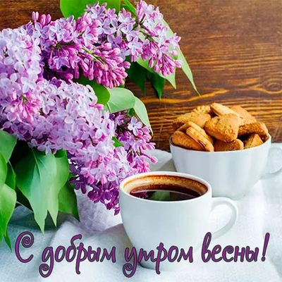 Открытка доброе утро весна - скачать бесплатно