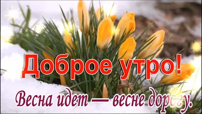 Картинки \"Доброе весеннее утро\" (65 открыток) • Прикольные картинки и  позитив