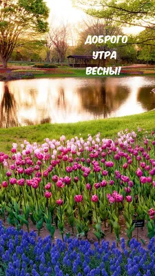 С утром добрым, светлым, ясным, Днем чудесным и прекрасным! Весна идет —  весне дорогу. - YouTube