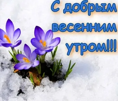 Весенние картинки \"С Добрым Утром!\" (255 шт.)
