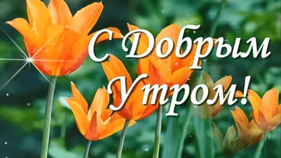 Весенние открытки \"Доброго утра!\" (230 шт.)