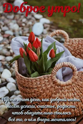 птичка весной - Открытки - С ДОБРЫМ УТРОМ