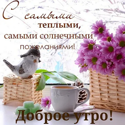 С добрым весенним утром!🌷☀️Солнечного дня! Красивая музыкальная открытка!  - YouTube