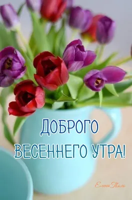 Картинки доброе пятничное утро весна (55 фото) » Картинки и статусы про  окружающий мир вокруг