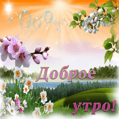 Самые классные открытки с добрым утром весны 2023