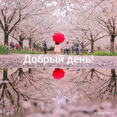 Картинка - Доброе утро!.