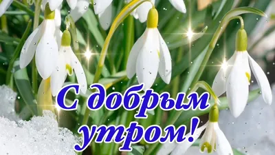 Открытки с добрым утром весенние (50 штук)