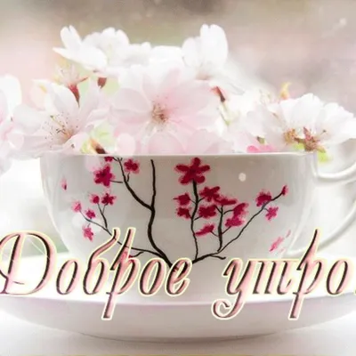 Картинки \"Доброе весеннее утро!\" (255 шт.)