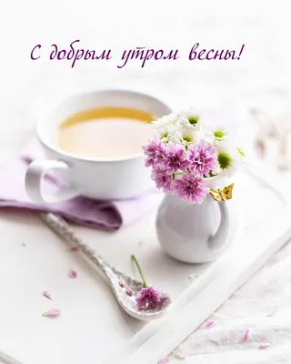 Красивые картинки \"Доброе весеннее утро\"