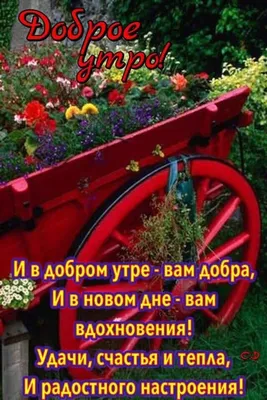 sm1rnovamari - 😊ДОБРОЕ УТРО!😊 . УЖЕ среда! Весна... Опять весна Опять  цветы Но лучше всех Конечно ты... .😉 #доброеутро #среда #весна #март  #цветы #любовь #настроение #красота #смирновамарина | Facebook