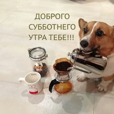 С добрым субботним утром! Прекрасного дня, весеннего настроения! #сдоб... |  TikTok