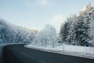 Зима, дорога, снег, деревья, реальное…» — создано в Шедевруме