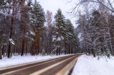 красивые картинки :: ровные дороги :: зима :: Природа (красивые фото  природы: моря, озера, леса) / картинки, гифки, прикольные комиксы,  интересные статьи по теме.