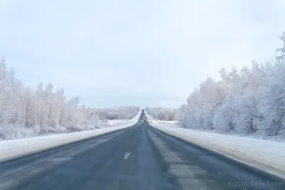Зимняя дорога