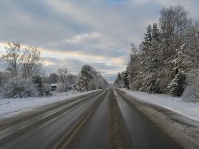 Какие они, зимние дороги? | Авто-мото | ШколаЖизни.ру