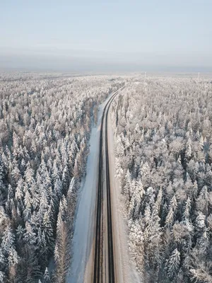 Фото зимние Природа лес снега Дороги Ночь Железные дороги