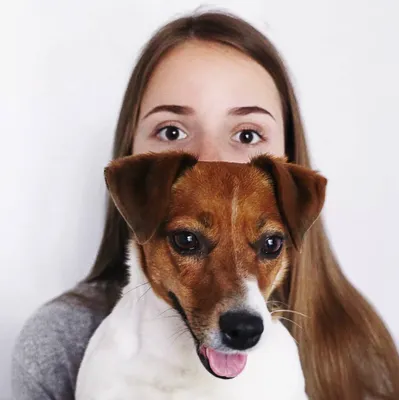 Собака Джина СПАСАТЕЛЬ ПЛАВАЕТ В ЖИЛЕТЕ ПЕРВЫЙ РАЗ Яхта Элли Ди | Elli Di  Pets - Dailymotion Video